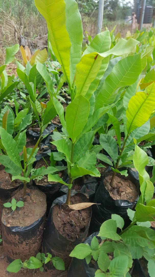 WhatsApp Image 2019 06 05 at 1.48.49 PM