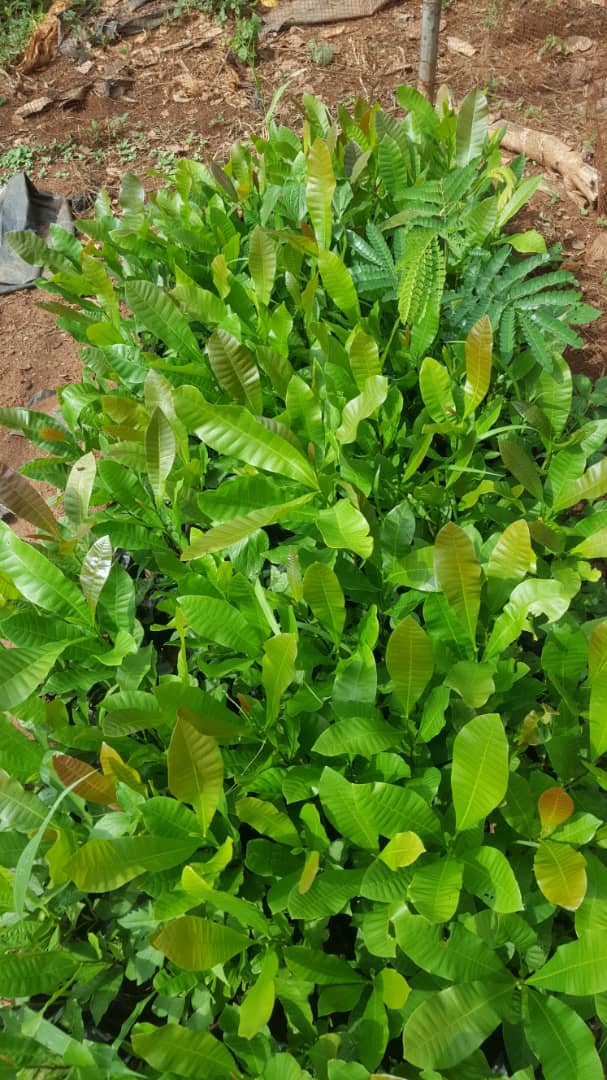 WhatsApp Image 2019 06 05 at 1.48.50 PM