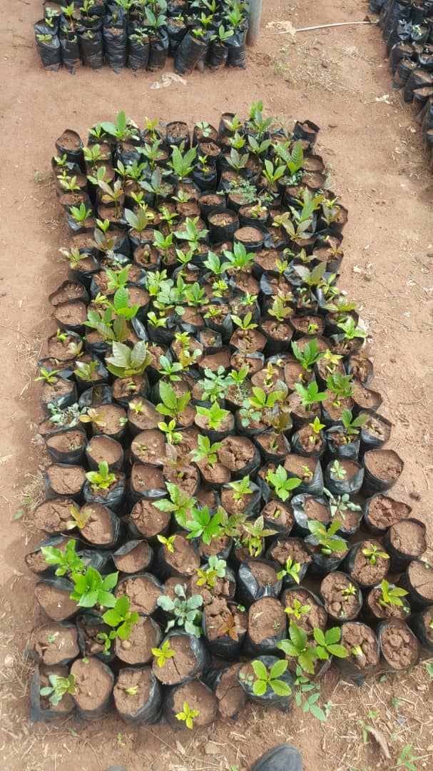 WhatsApp Image 2019 06 05 at 1.49.00 PM